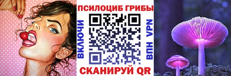 Галлюциногенные грибы Psilocybe Сергач